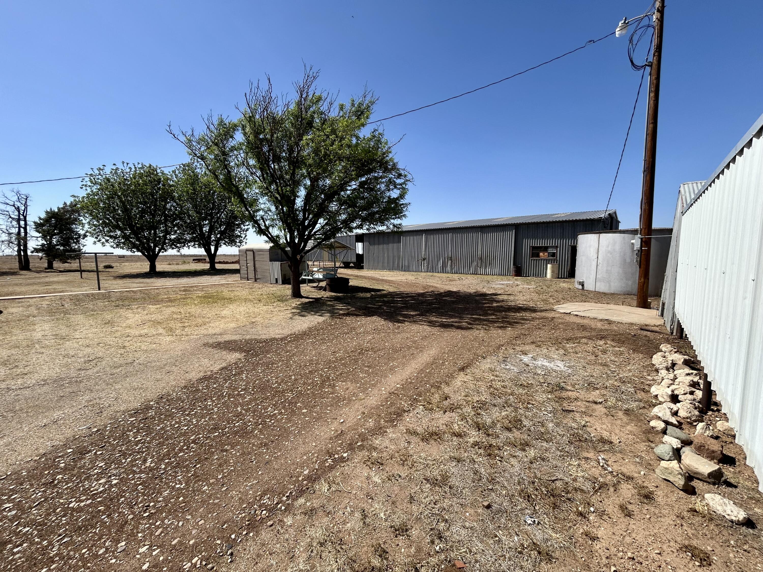 2101 Farm To Market 97 Lockney, TX 79241 - Photo 22 of 35 a view of a house with backyard and trees