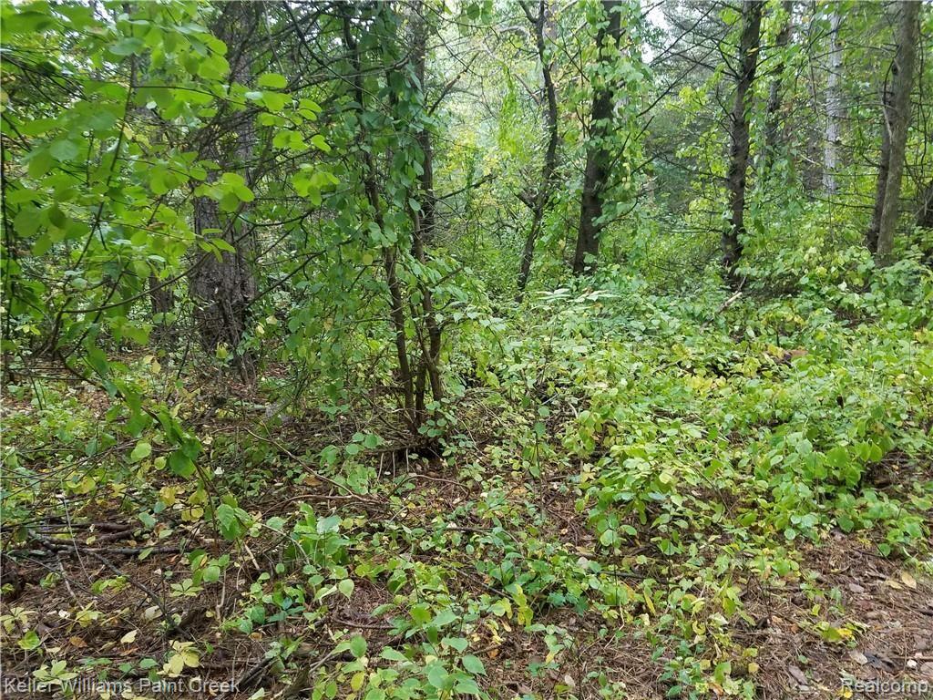 3950 Maybee Road Lake Orion, MI 48359 - Photo 31 of 33 trails3.jpg