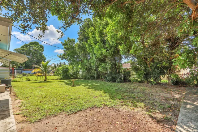 a view of a field with trees in the background