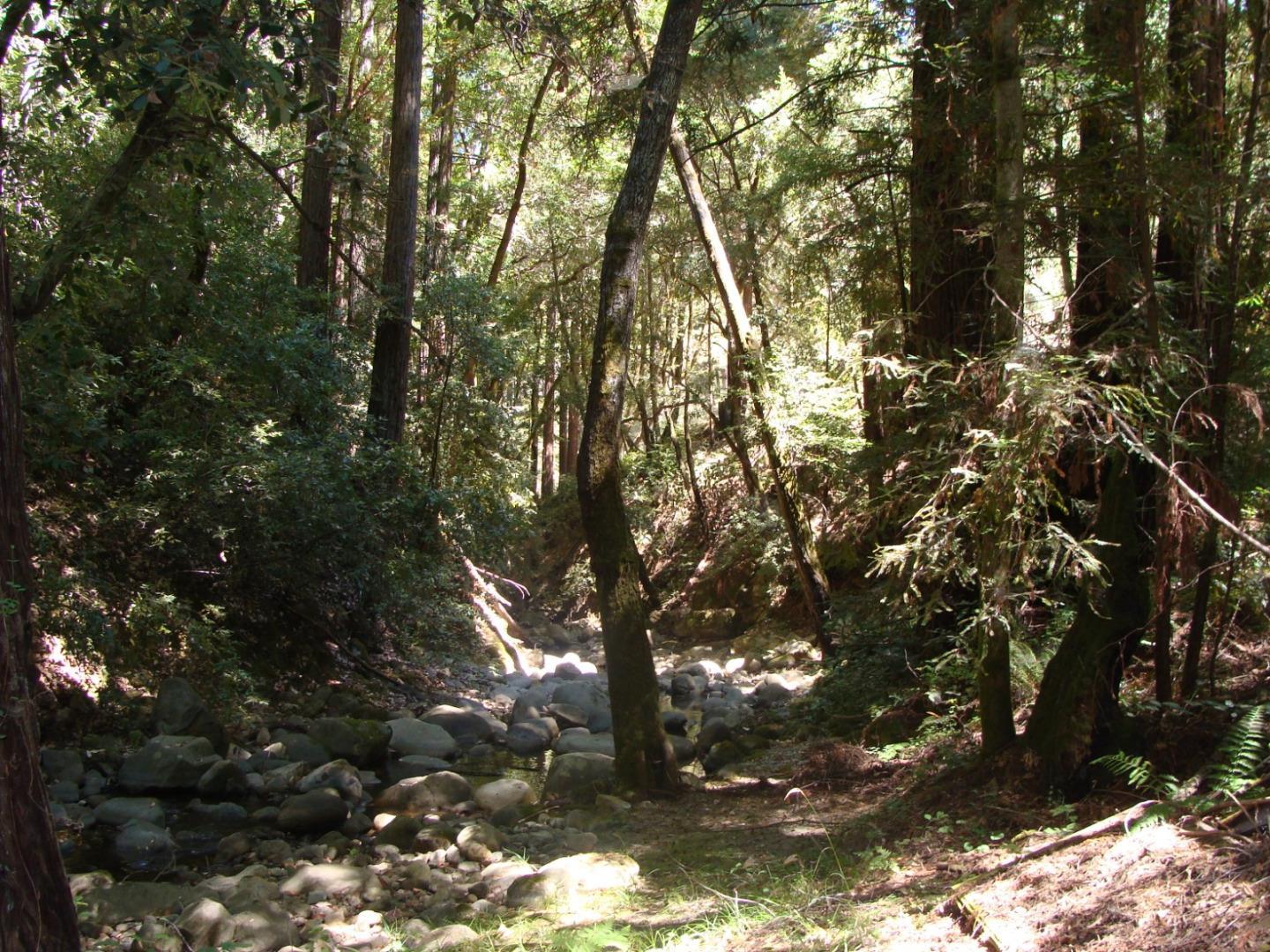 7150 Croy Road, Unit A Morgan Hill, CA 95037 - Photo 39 of 64