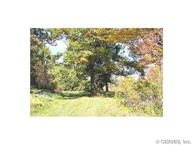 666 Porter Road Franklinville, NY 14737 - Photo 1 of 1 Land/Lot