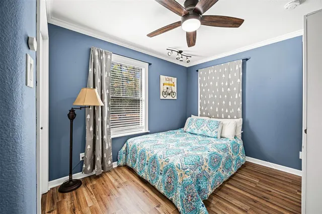 a view of a backyard with a tree