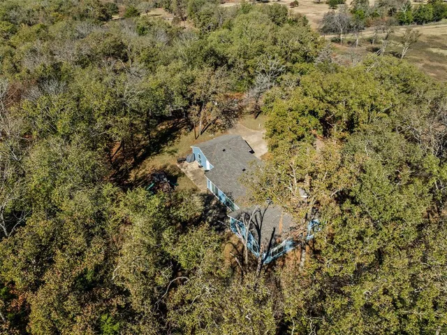 a view of a bunch of trees