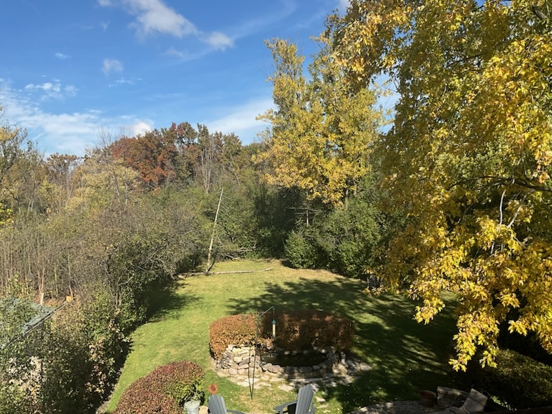 1016 Shermer Road Northbrook, IL 60062 - Photo 34 of 40