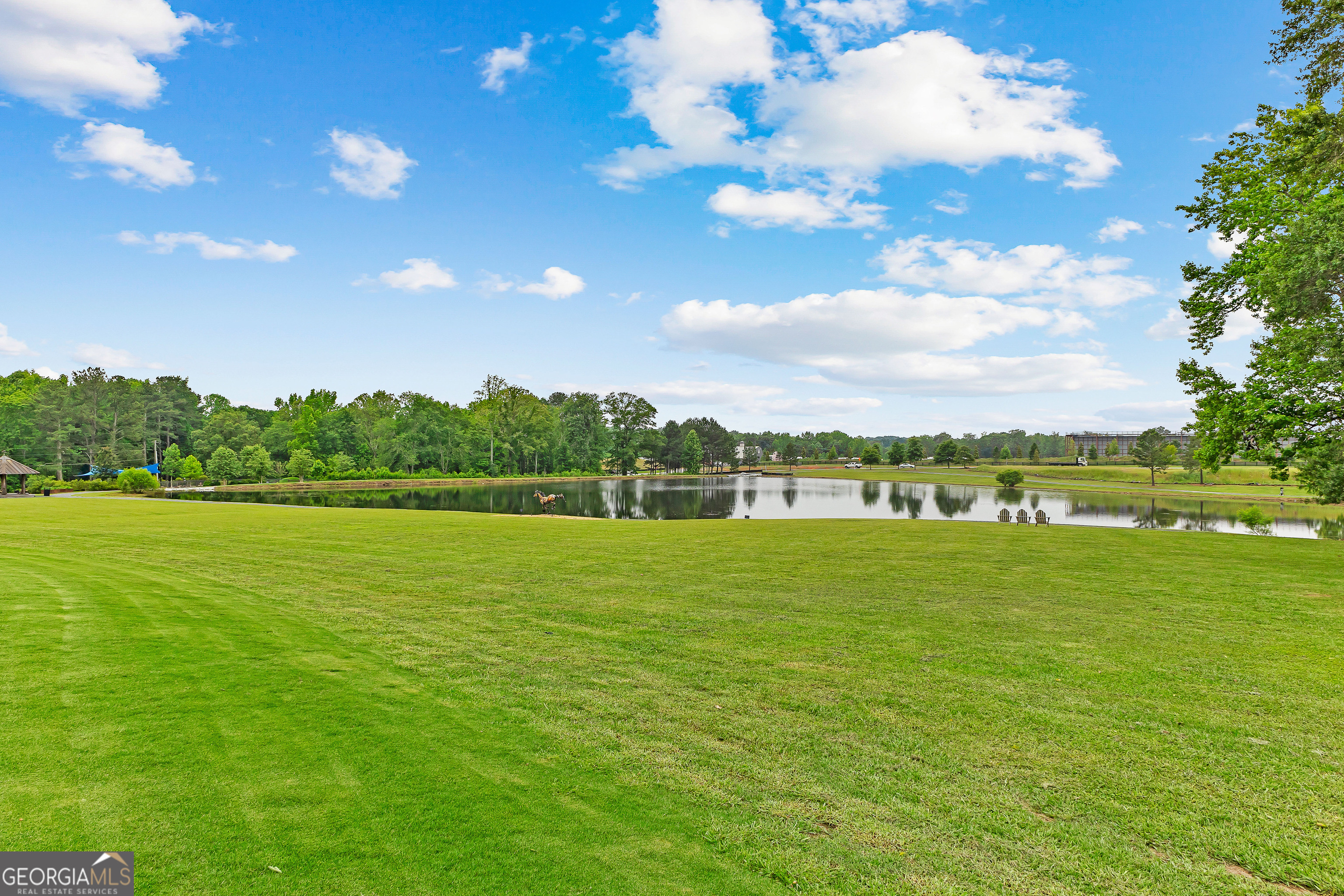 225 Rolison Way Fayetteville, GA 30214 - Photo 42 of 46 a view of a lake with a city
