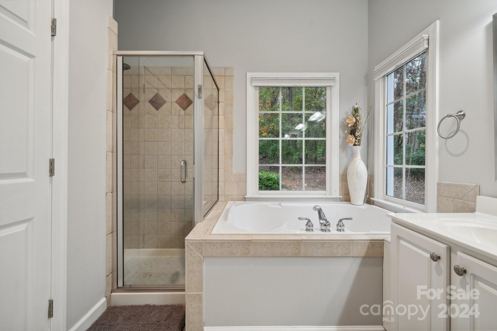 8610 Brentfield Road Huntersville, NC 28078 - Photo 24 of 48 a bathroom with a granite countertop sink a mirror and a bathtub