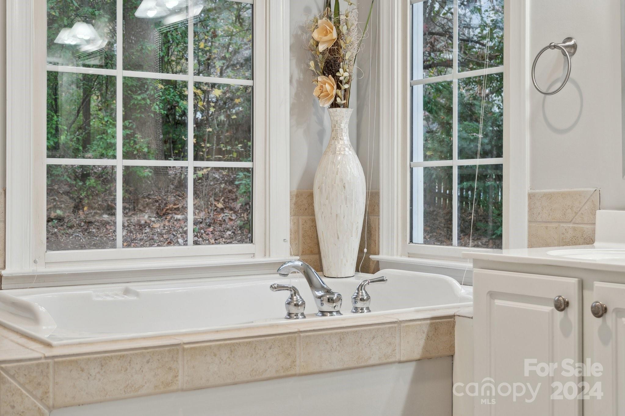 8610 Brentfield Road Huntersville, NC 28078 - Photo 25 of 48 a bathroom with a granite countertop sink and a window
