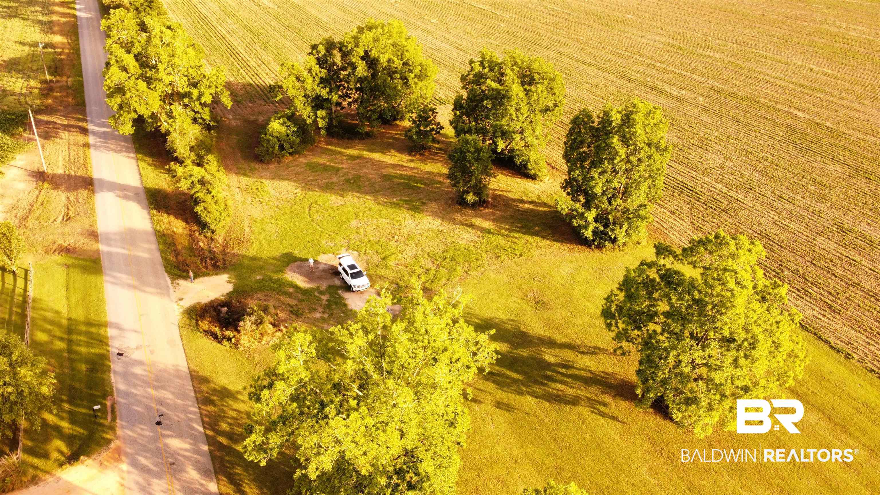 3595 Sardine Road Brewton, AL 36426 - Photo 5 of 9 View of rural area featuring abundant farmland