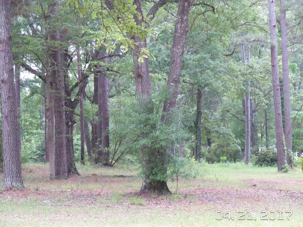 0 Ed Lasyone Road Pineville, LA 71360 - Photo 1 of 1 Gallery Image 1