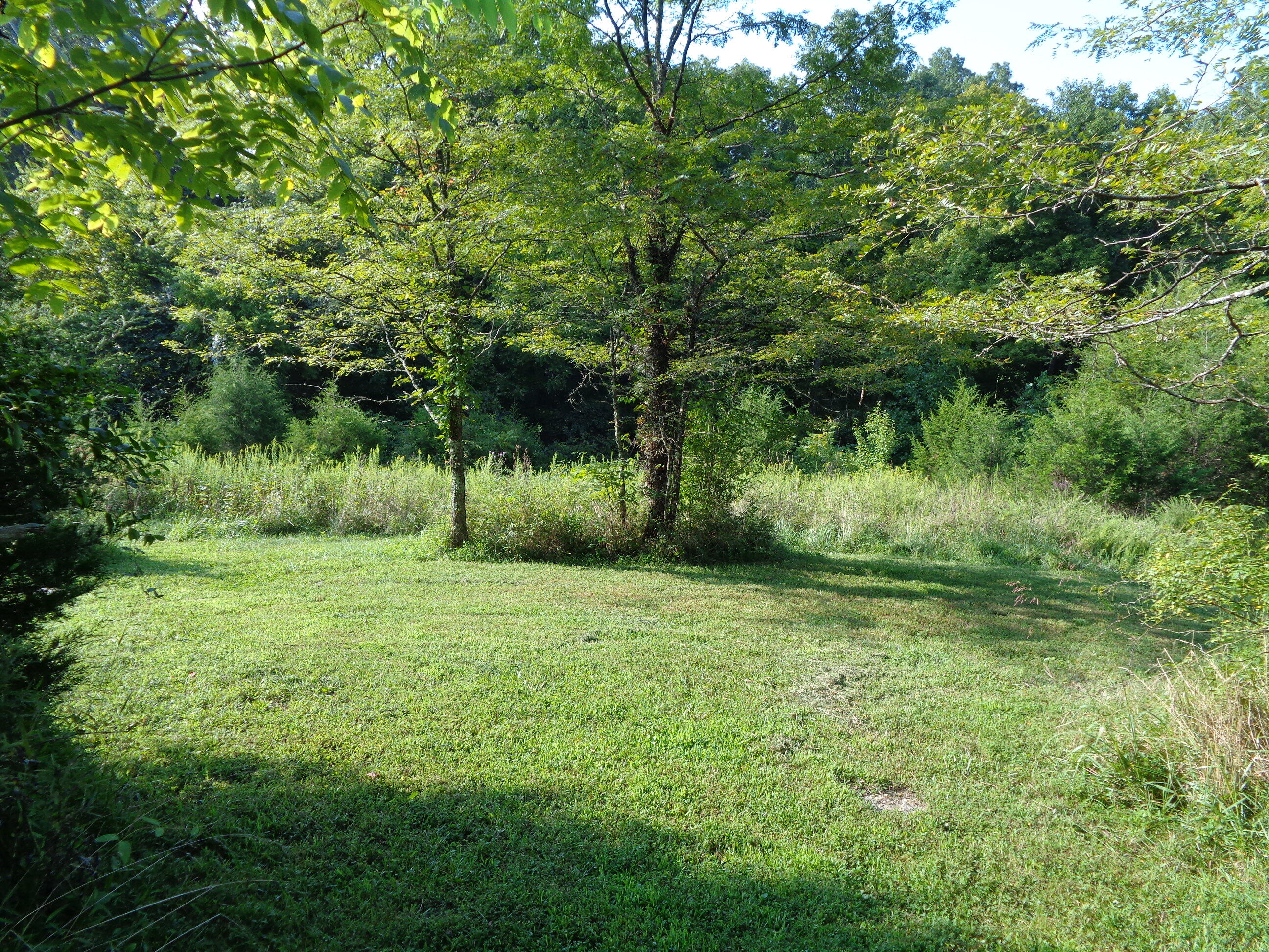 1409 Corinth Road Lawrenceburg, KY 40342 - Photo 31 of 38 DSC00784