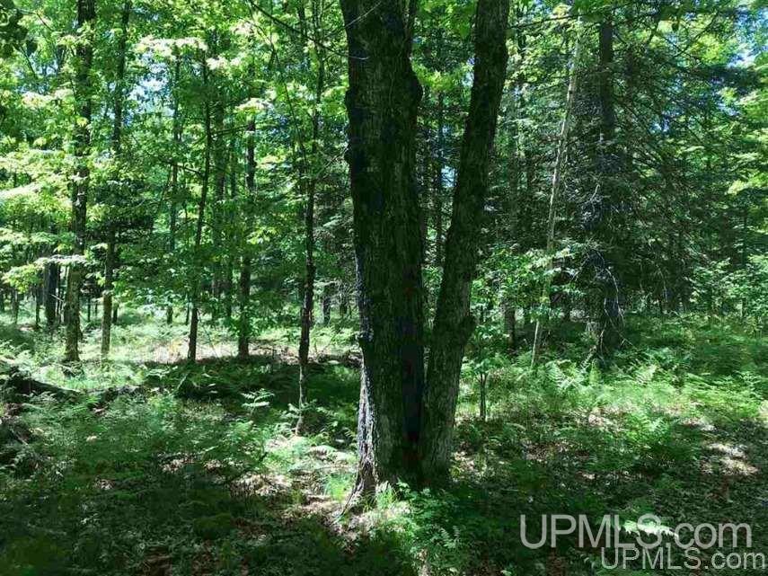 108 Burke Road Crystal Falls, MI 49920 - Photo 32 of 35
