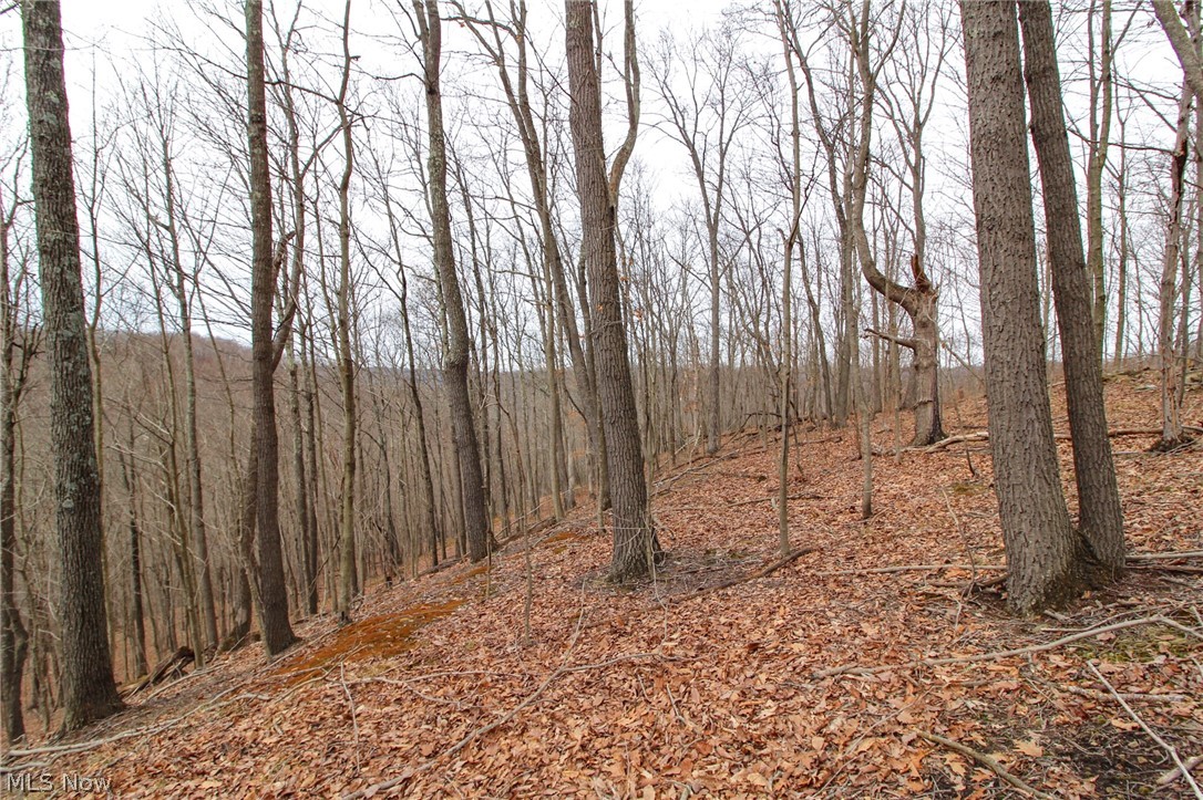 Shay Ridge Road New Matamoras, OH 45767 - Photo 15 of 25 View of mother earth's splendor