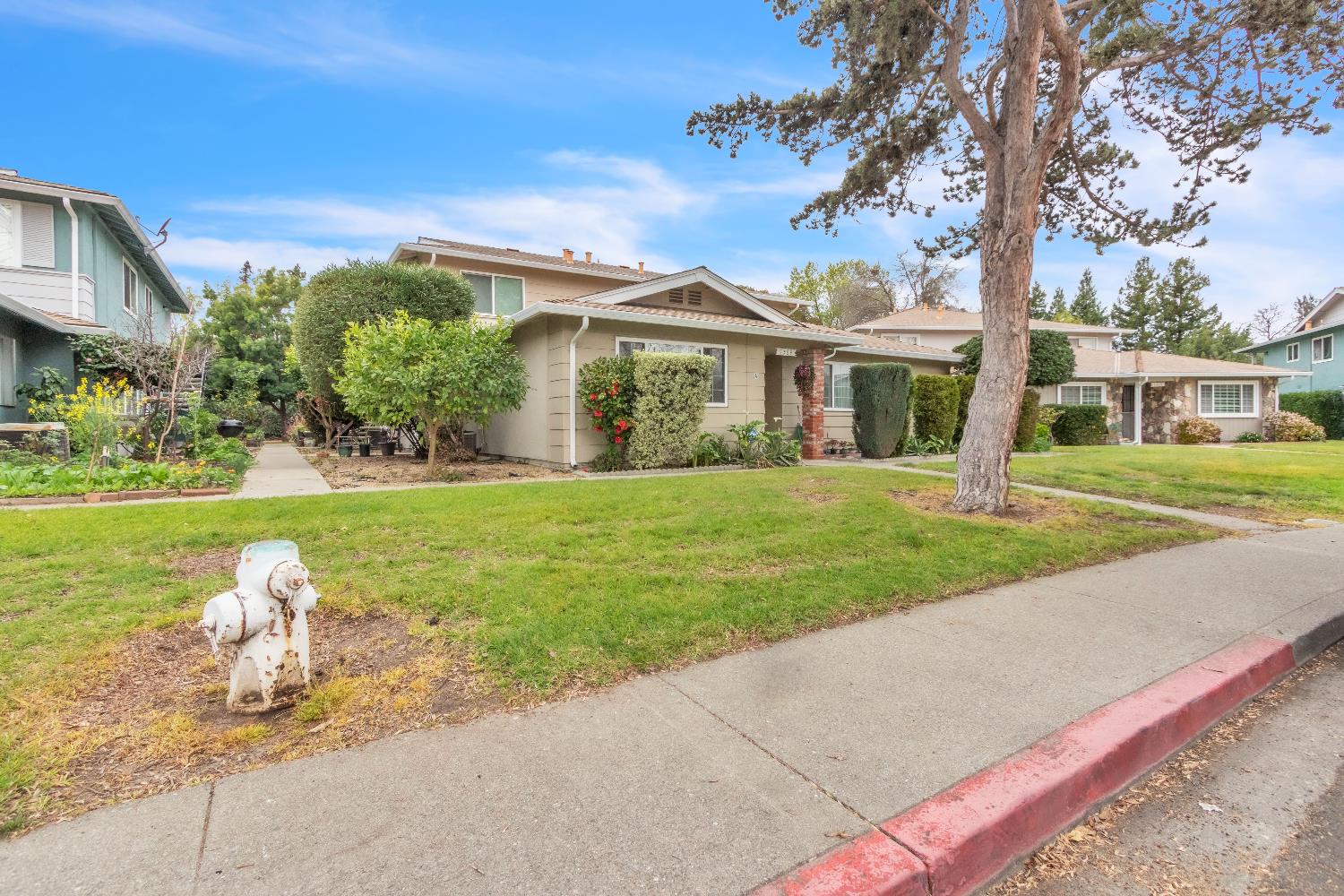 1369 Del Rio Circle, Unit D Concord, CA 94518 - Photo 3 of 21 a front view of a house with garden and trees