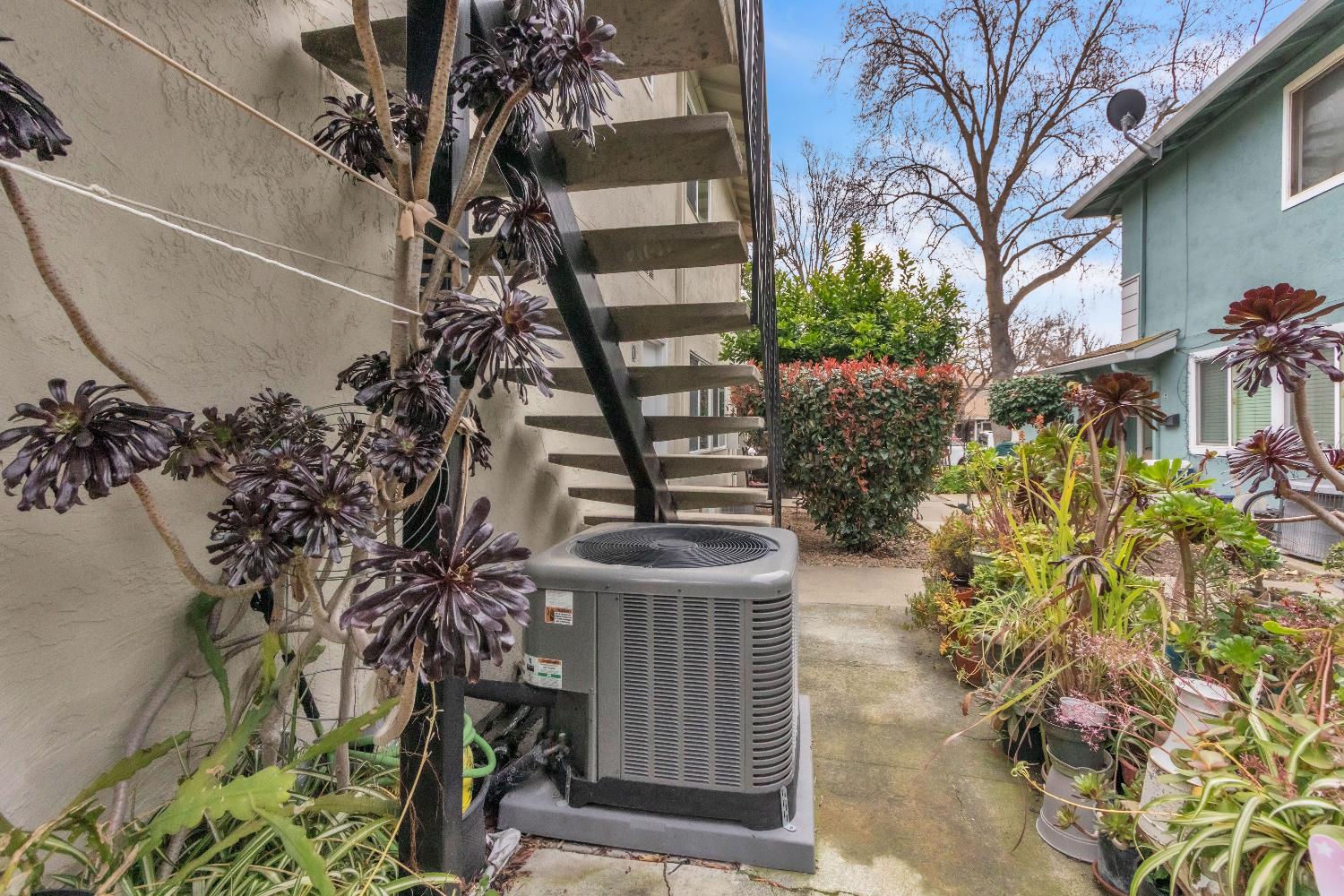 1369 Del Rio Circle, Unit D Concord, CA 94518 - Photo 5 of 21 a front view of a house with a yard