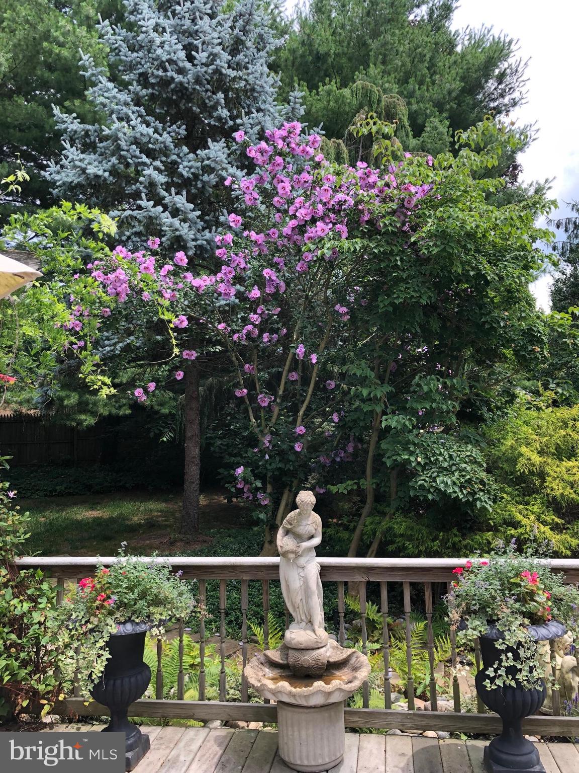 108 Willowburn Road Villanova, PA 19085 - Photo 42 of 46 Mature Landscaping