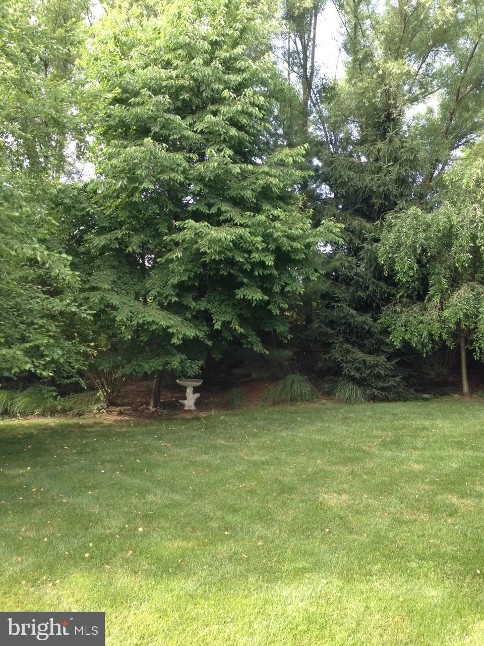 108 Willowburn Road Villanova, PA 19085 - Photo 44 of 46 Rear Yard