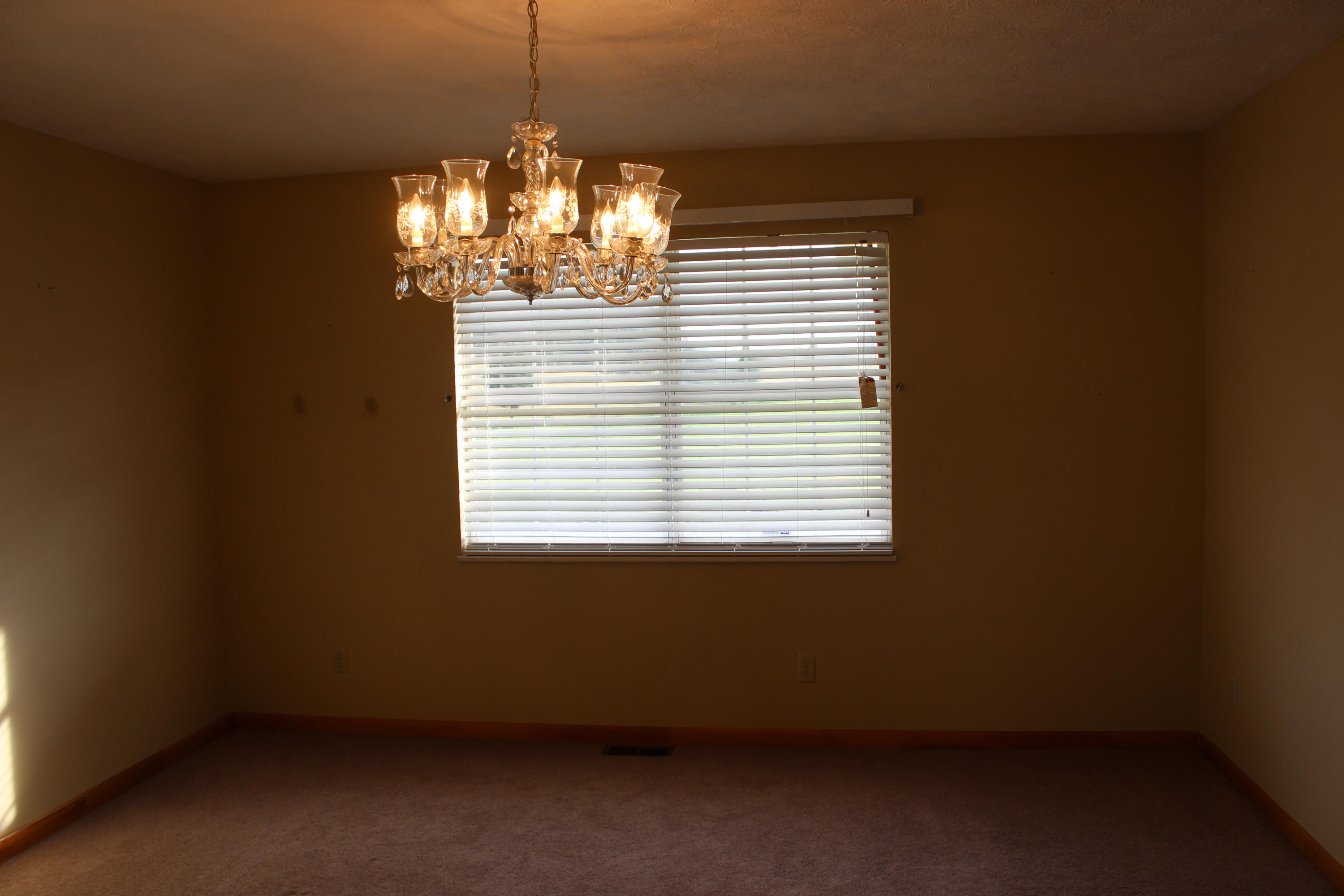 1216 Towe String Road Jacksboro, TN 37757 - Photo 16 of 32 IMG_6542