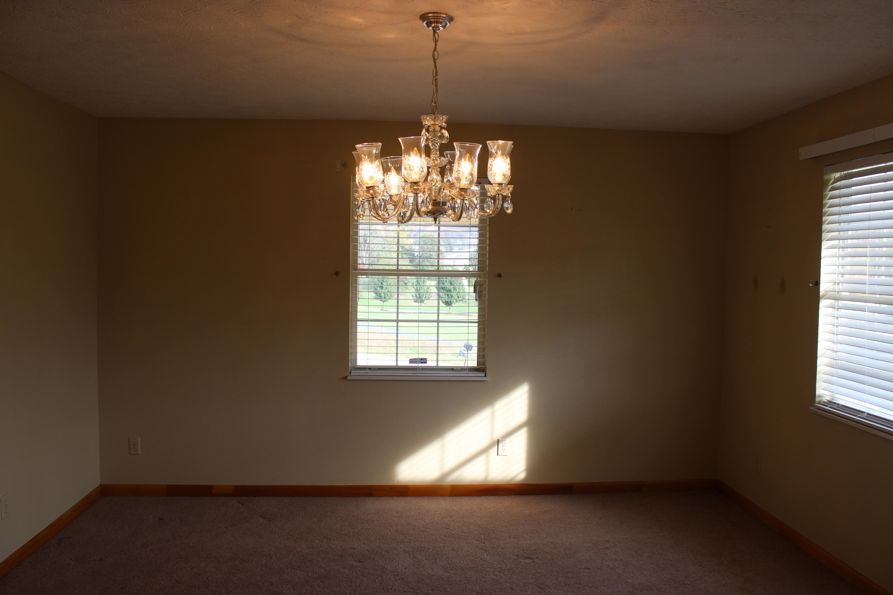 1216 Towe String Road Jacksboro, TN 37757 - Photo 17 of 32 IMG_6543