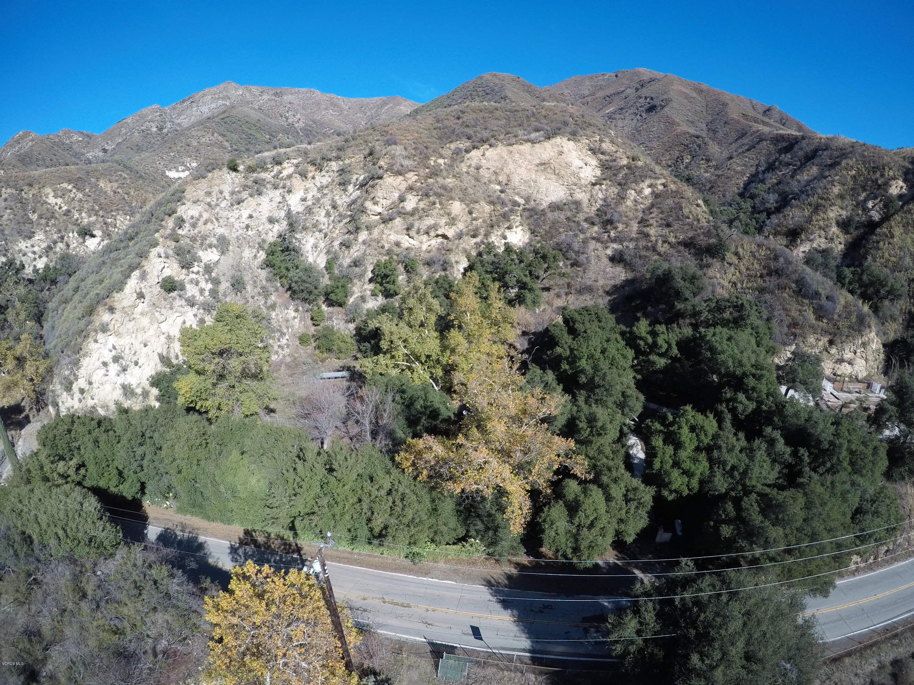 a view of a tree in a field