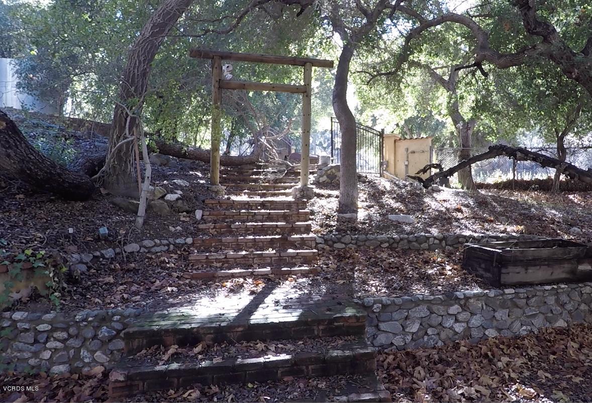 18452 Little Tujunga Canyon Road Canyon Country, CA 91387 - Photo 13 of 61 a view of a yard with plants and trees