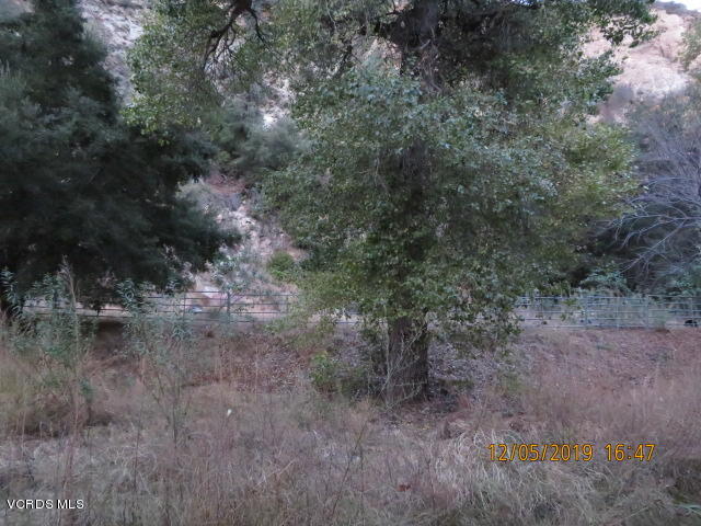 18452 Little Tujunga Canyon Road Canyon Country, CA 91387 - Photo 25 of 61 a view of a forest with trees