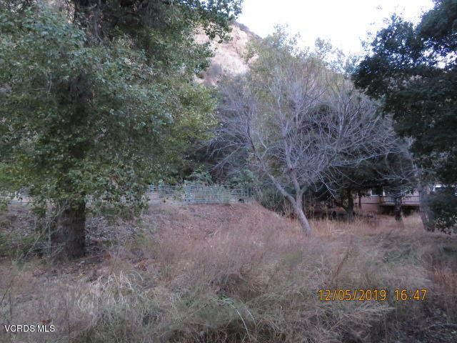 18452 Little Tujunga Canyon Road Canyon Country, CA 91387 - Photo 26 of 61 a view of a forest with trees in the background