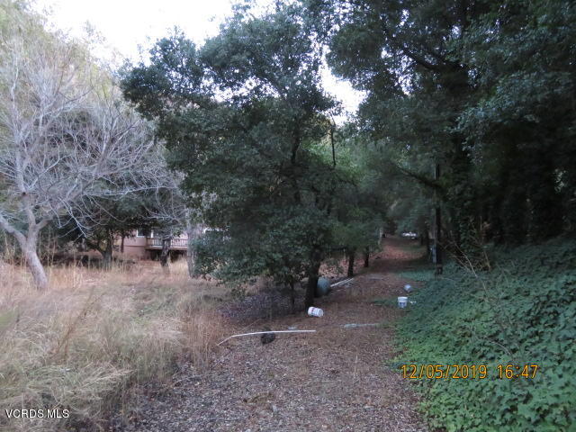 18452 Little Tujunga Canyon Road Canyon Country, CA 91387 - Photo 27 of 61 a view of a forest with trees in the background