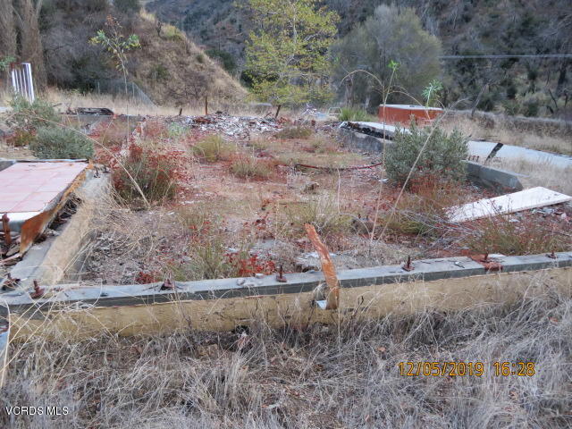 18452 Little Tujunga Canyon Road Canyon Country, CA 91387 - Photo 30 of 61 a view of a yard with large trees