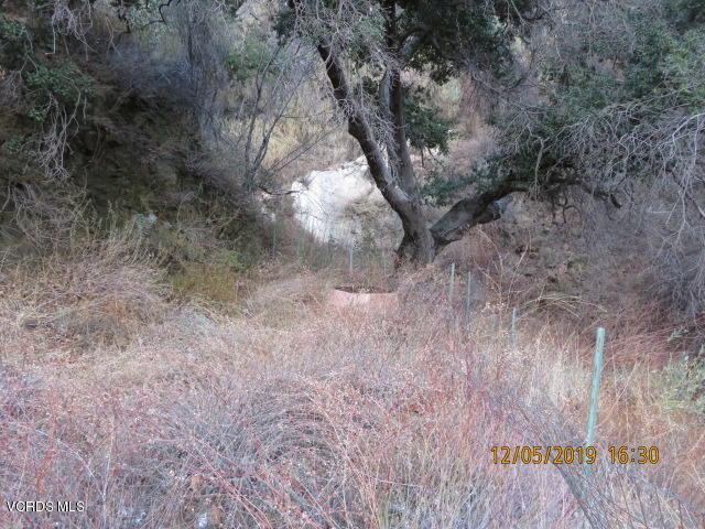18452 Little Tujunga Canyon Road Canyon Country, CA 91387 - Photo 32 of 61 a view of a yard