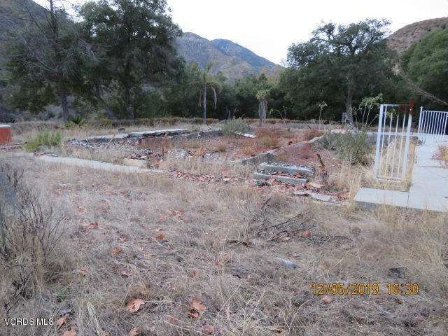 18452 Little Tujunga Canyon Road Canyon Country, CA 91387 - Photo 33 of 61 a view of a dry yard with trees