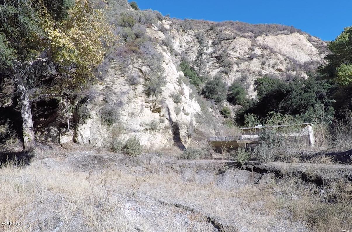 18452 Little Tujunga Canyon Road Canyon Country, CA 91387 - Photo 39 of 61 a view of a dry yard with trees