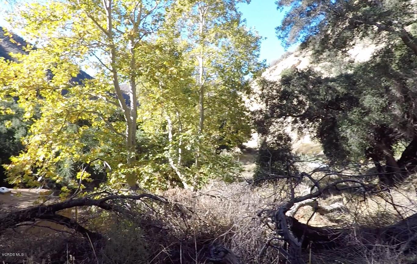 18452 Little Tujunga Canyon Road Canyon Country, CA 91387 - Photo 40 of 61 a backyard of a house with a tree
