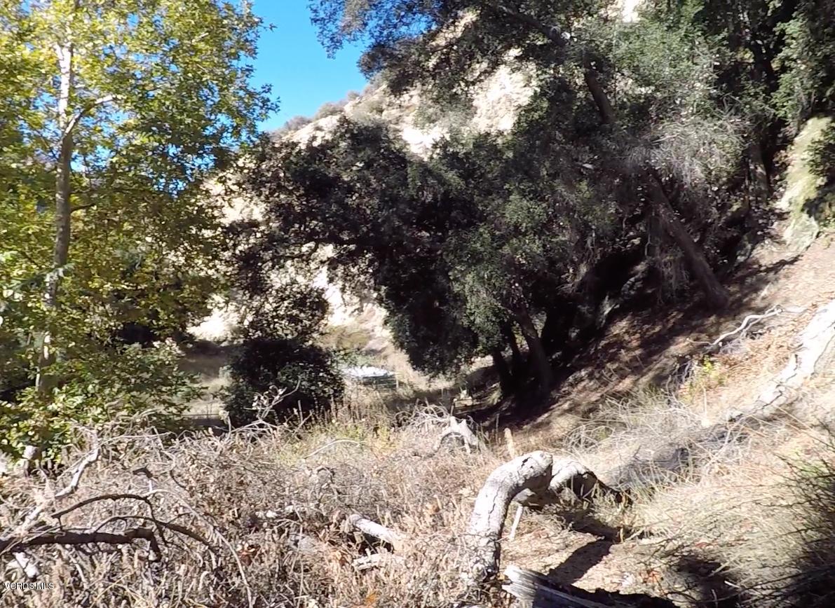 18452 Little Tujunga Canyon Road Canyon Country, CA 91387 - Photo 41 of 61 a view of a tree in a yard