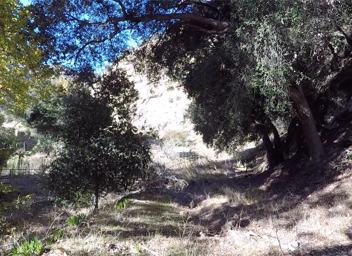 18452 Little Tujunga Canyon Road Canyon Country, CA 91387 - Photo 42 of 61 a view of a tree