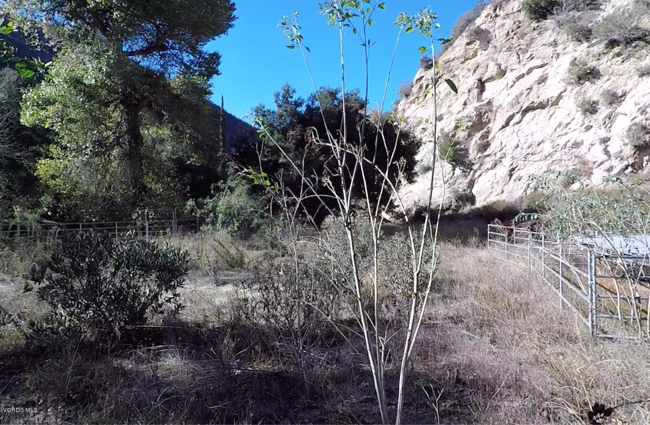 18452 Little Tujunga Canyon Road Canyon Country, CA 91387 - Photo 45 of 61 a view of a yard with plants and a bench