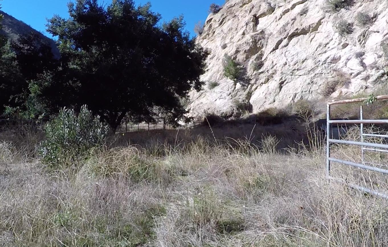 18452 Little Tujunga Canyon Road Canyon Country, CA 91387 - Photo 48 of 61 a view of a yard
