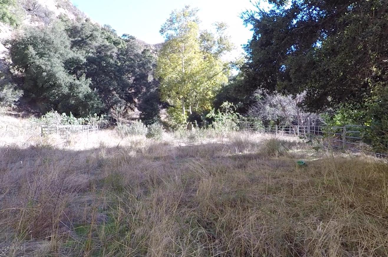 18452 Little Tujunga Canyon Road Canyon Country, CA 91387 - Photo 49 of 61 a view of a yard with trees