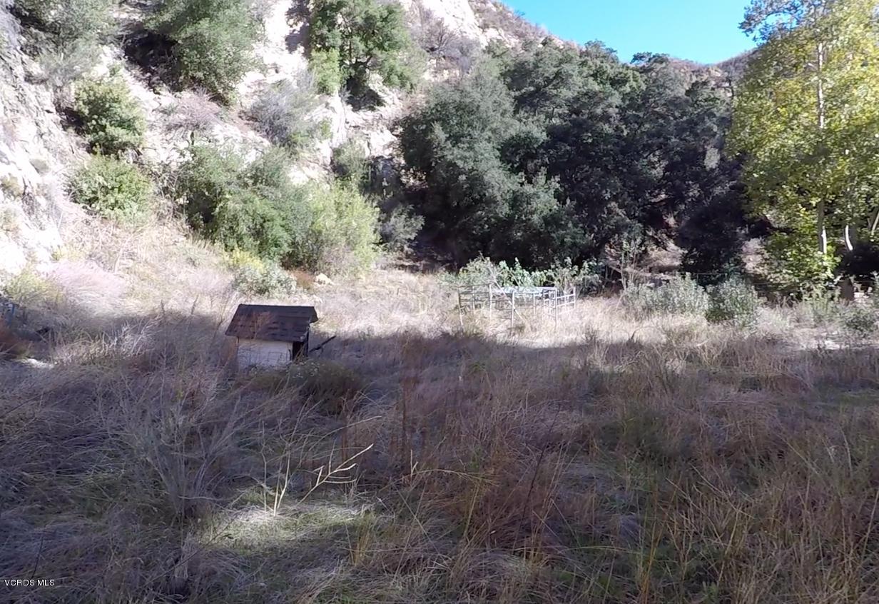 18452 Little Tujunga Canyon Road Canyon Country, CA 91387 - Photo 50 of 61 a view of outdoor space and tree