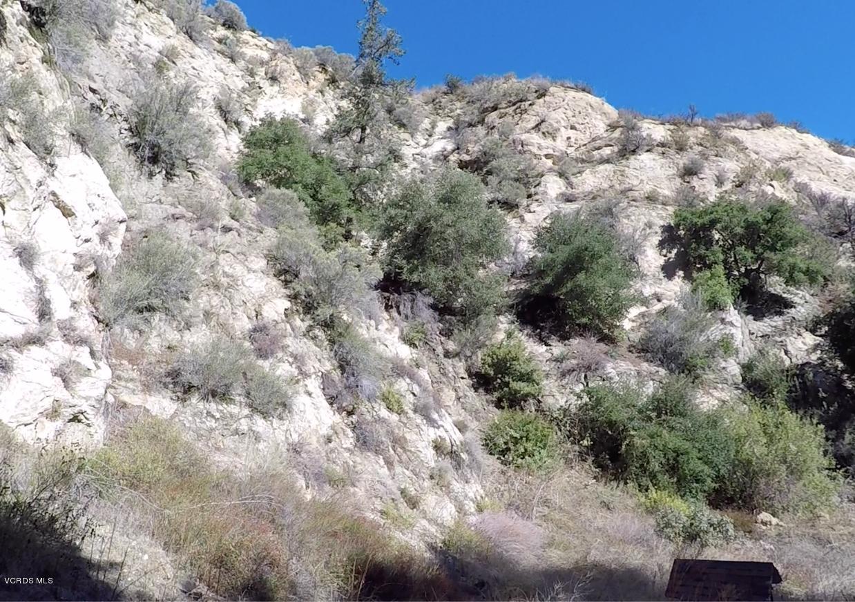18452 Little Tujunga Canyon Road Canyon Country, CA 91387 - Photo 51 of 61 a view of a dry yard with lots of bushes