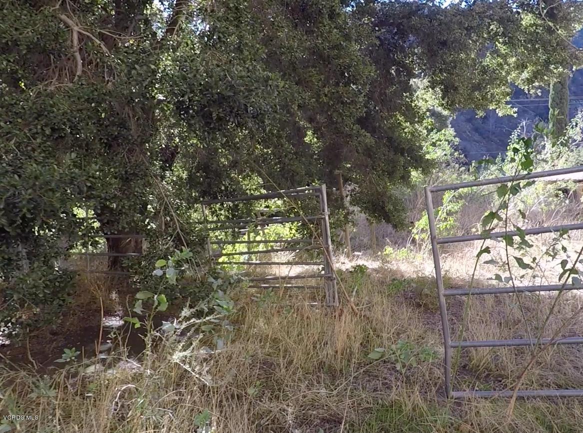 18452 Little Tujunga Canyon Road Canyon Country, CA 91387 - Photo 52 of 61 a view of yard with trees