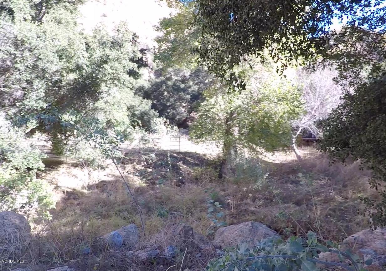 18452 Little Tujunga Canyon Road Canyon Country, CA 91387 - Photo 53 of 61 a view of a tree in a yard
