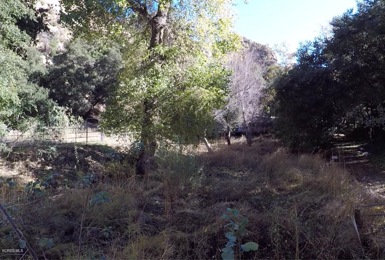 18452 Little Tujunga Canyon Road Canyon Country, CA 91387 - Photo 54 of 61 a view of a forest with lots of trees