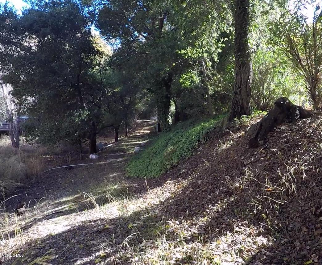 18452 Little Tujunga Canyon Road Canyon Country, CA 91387 - Photo 55 of 61 a view of backyard with green space