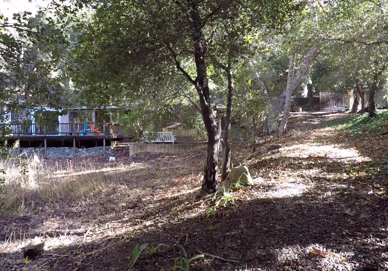 18452 Little Tujunga Canyon Road Canyon Country, CA 91387 - Photo 58 of 61 a view of a yard with plants and trees