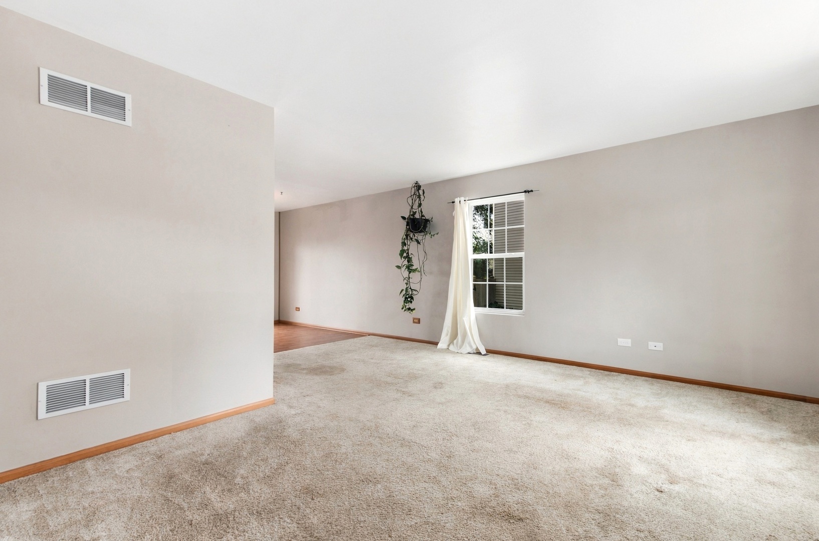1628 Hawthorne Ridge Drive Plainfield, IL 60586 - Photo 4 of 18 Gallery Image 4