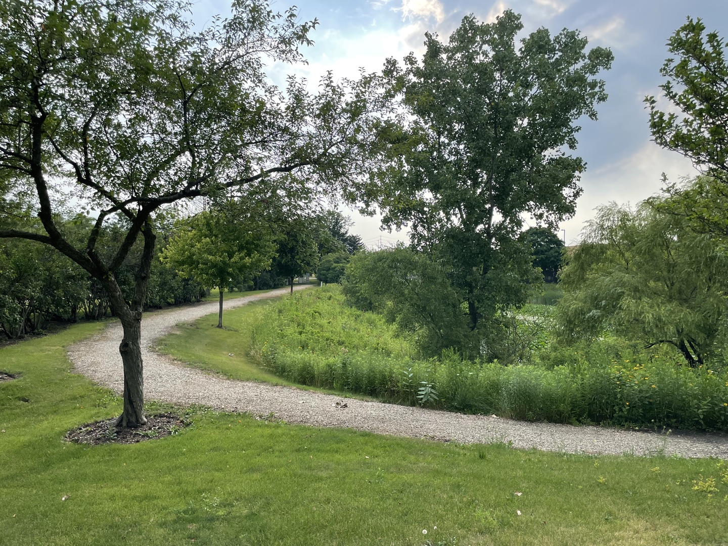 2 Aberdeen Court, Unit W1 Schaumburg, IL 60107 - Photo 16 of 31 a view of a park