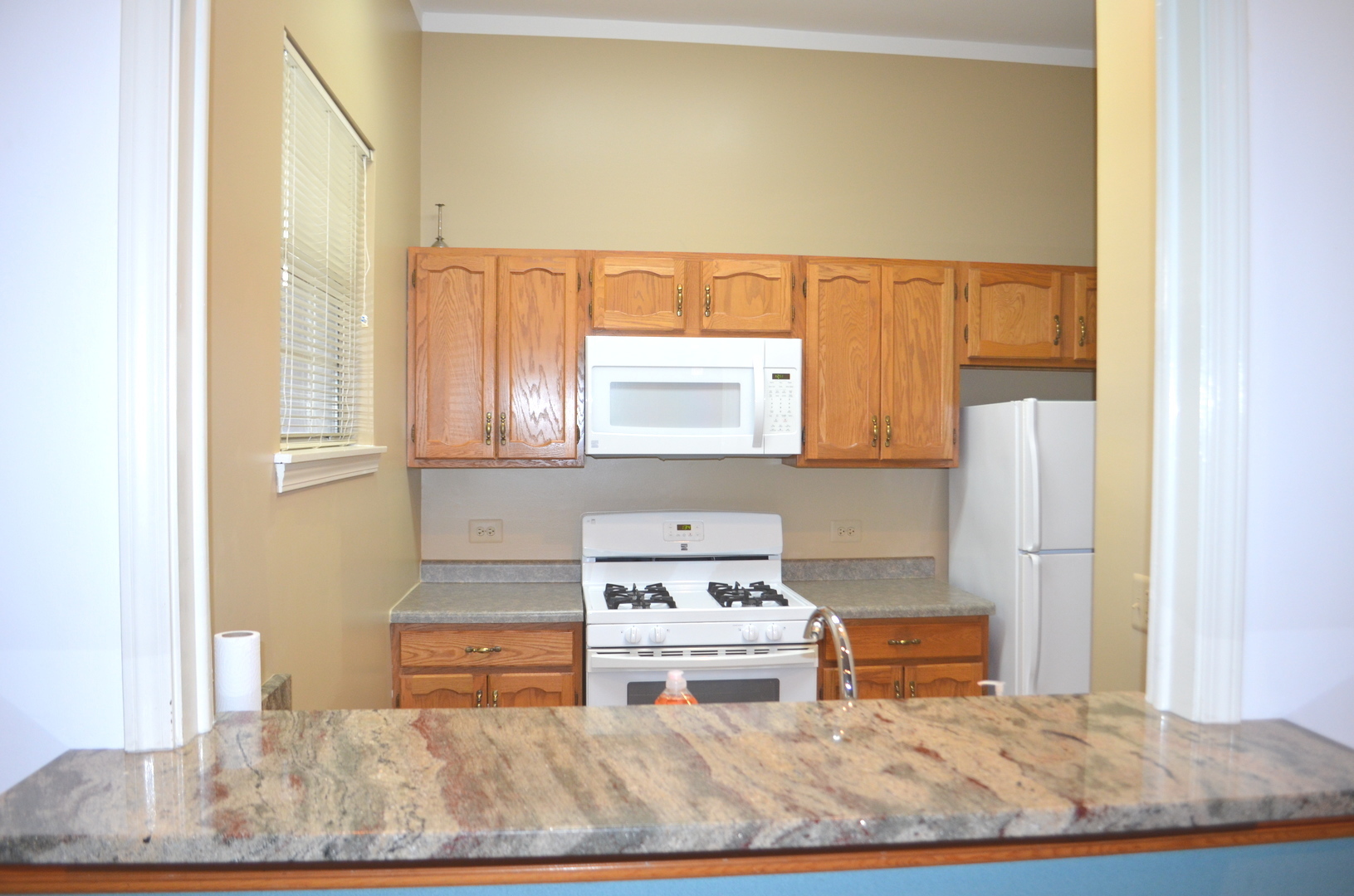 2 Aberdeen Court, Unit W1 Schaumburg, IL 60107 - Photo 22 of 31