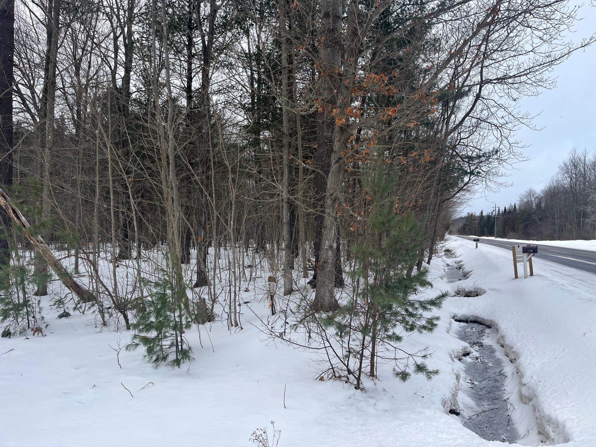 9 9 Mile Road Free Soil, MI 49411 - Photo 7 of 13