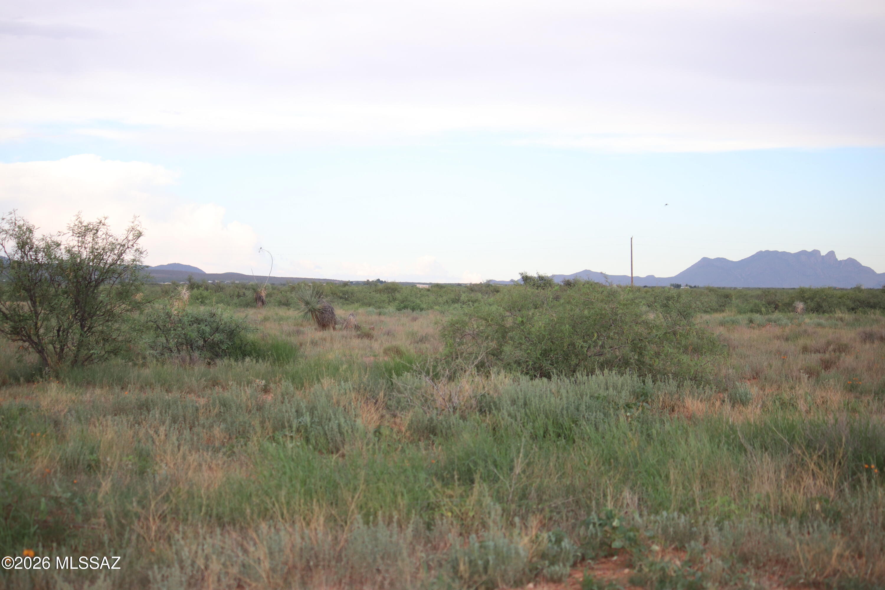 Tbd South Arzberger Road Willcox, AZ 85643 - Photo 2 of 14 IMG_0015