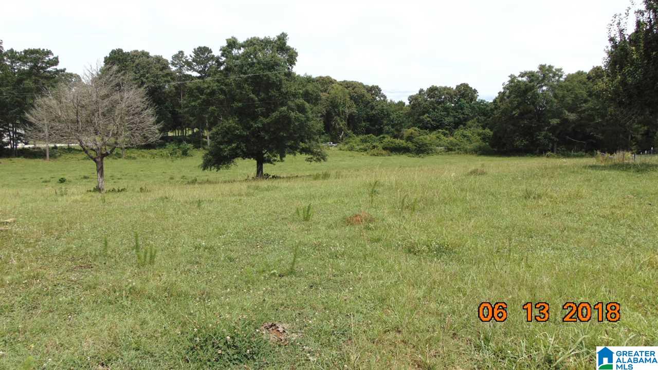 0 West Ashby Road Brierfield, AL 35035 - Photo 4 of 22